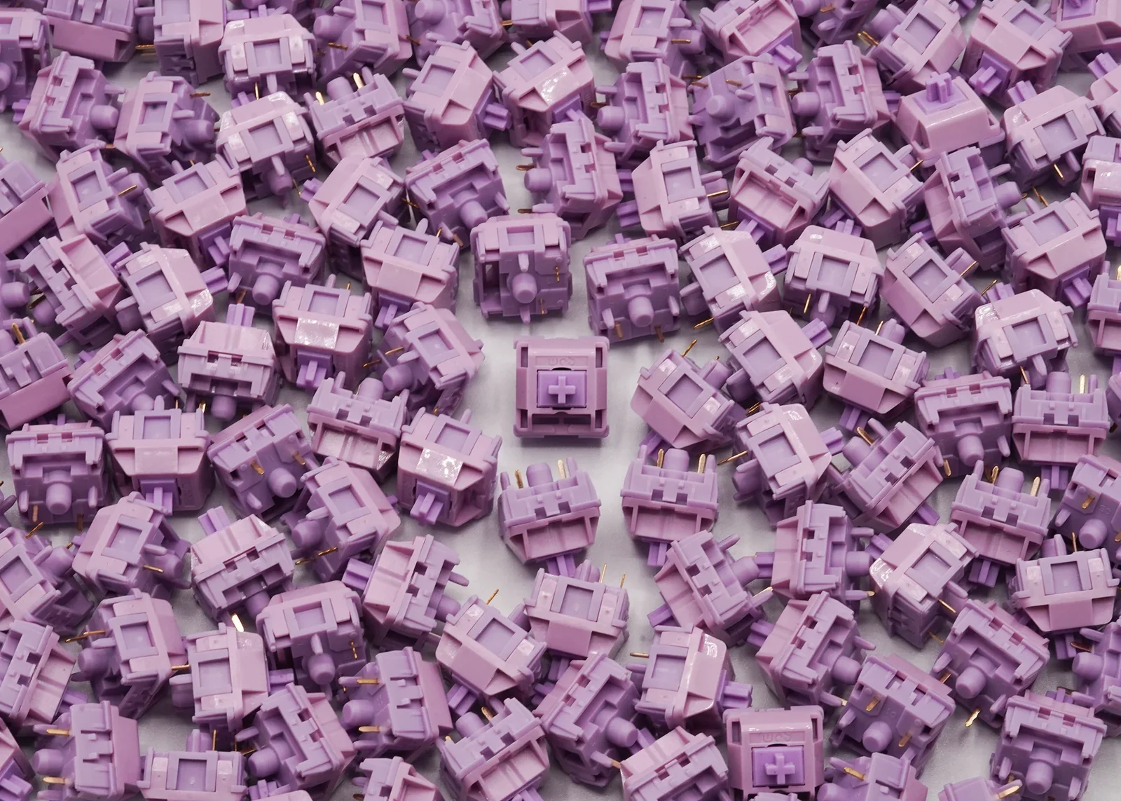 HMX Violet
